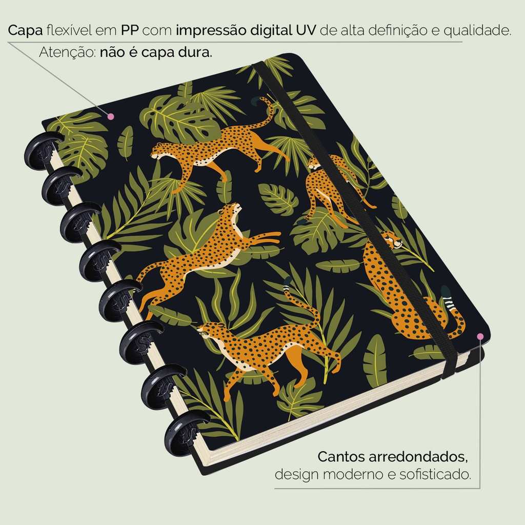Caderno de Disco Iscool: Organize-se com Estilo!