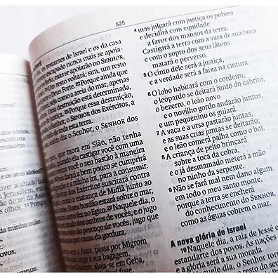 Bíblia Infantil Completa - Aprender com Deus Nunca Foi Tão Fácil