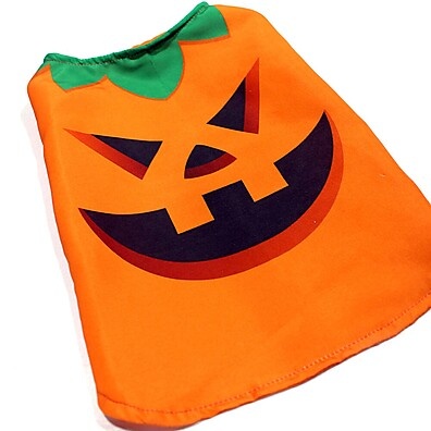 fantasia-abobora-para-cachorro-halloween-divertido