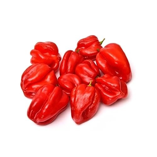 Sementes de Pimenta Valesca (Habanero Vermelha) FELTRIN