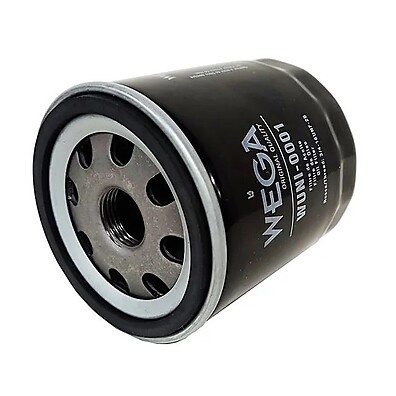 Filtro de Óleo Jaguar S-Type 3.0: Proteção Essencial