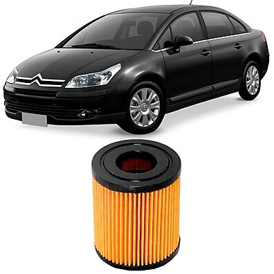 Filtro Óleo Citroën C4 1.6 2.0 2009 a 2018 Tecfil