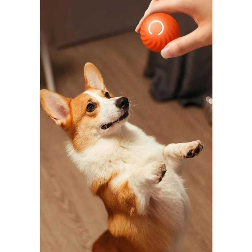 Bola Interativa para Pets: Diversão Sem Fim!