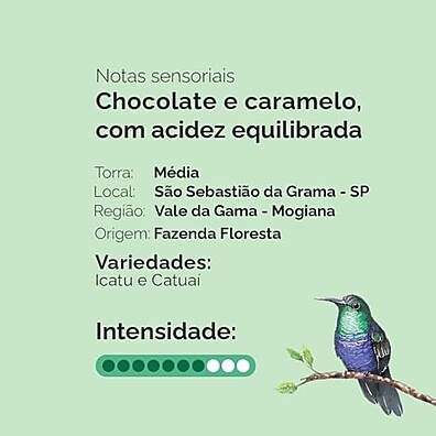 floresta-especial-cafe-unico-1kg-graos-fazenda-sabor