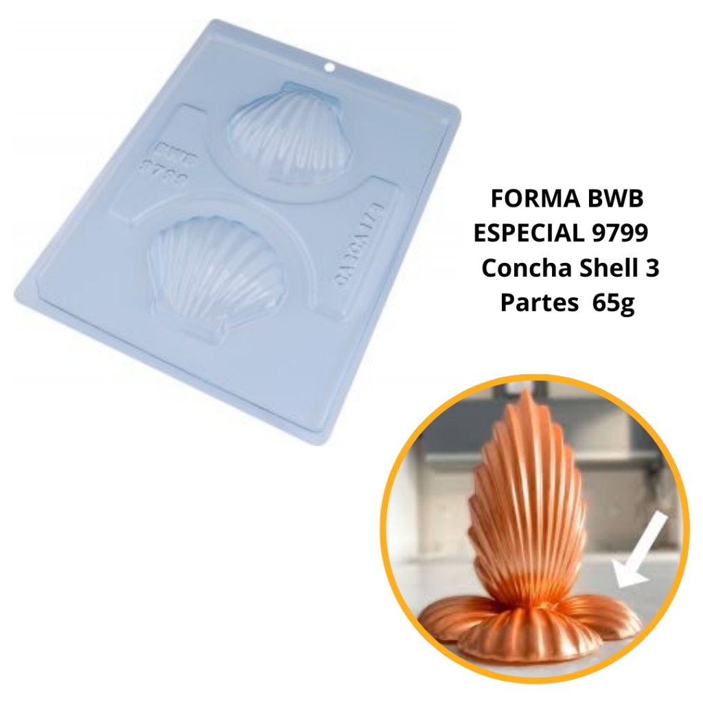 Forma de Silicone Concha Shell: Chocolates Perfeitos!