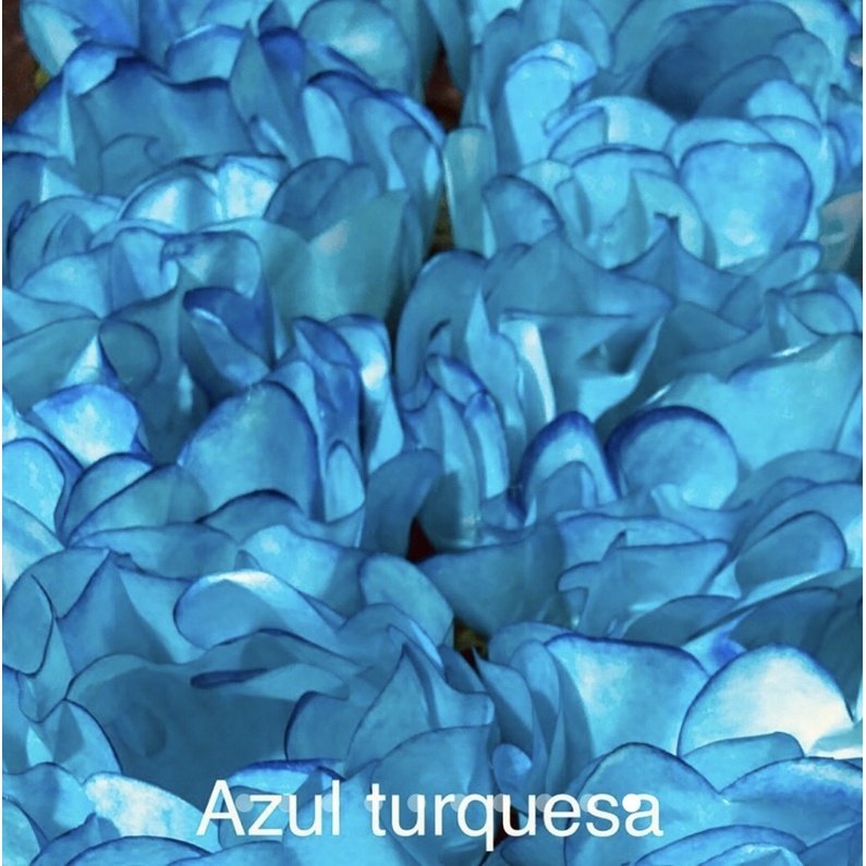 Forminhas Azul Turquesa para Doces: Elegância nas Festas CELEBRARE