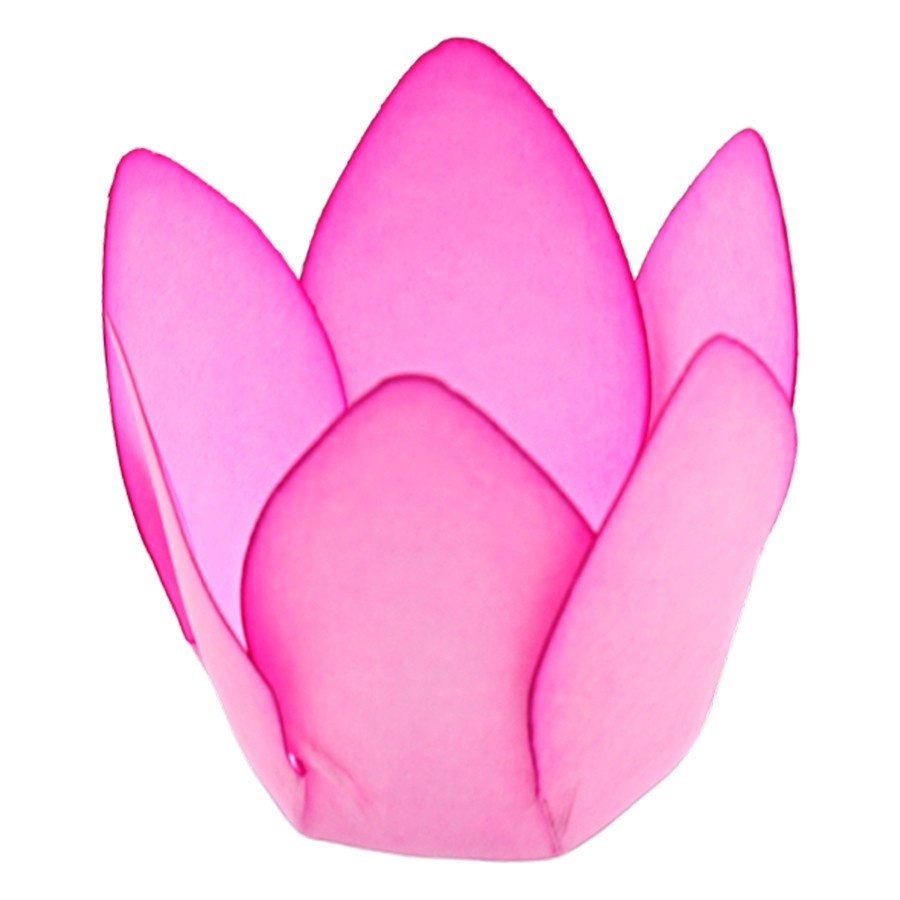 forminhas-monaco-rizzo-elegancia-em-rosa