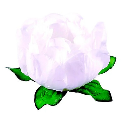 Forminhas para Doces Finos: Beleza em Branco!