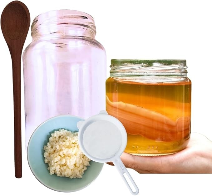 Scoby Kombucha Original + Colher de Pau + Kefir de Leite + Frasco 500ml e Peneira!