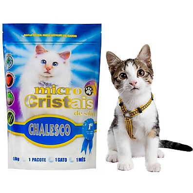 Areia Gato Chalesco: 2x Mais Frescor!