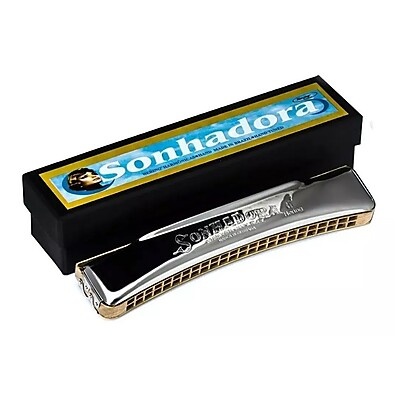 gaita-hering-sonhadora-48-vozes-som-incrivel