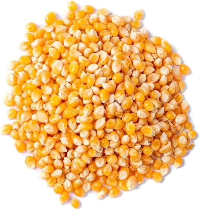 Tempero Caldo De Galinha Em Pó Produto Premium 500g