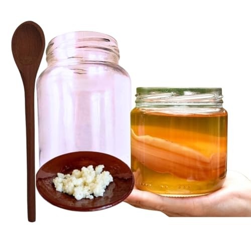 Kit Kombucha Colher De Pau Ganhe Kefir De Coco e Vidro 500ml!