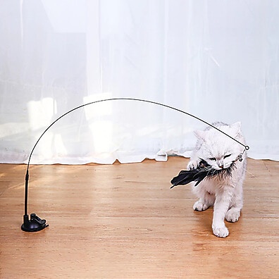 garantida-diversao-ventosa-com-gato-varinha