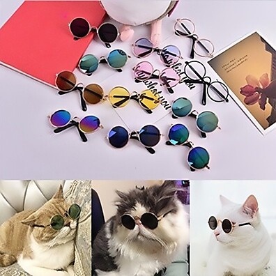 gatos-e-caes-seus-para-estilo-e-protecao-pequenos-pets-para-sol-de-oculos