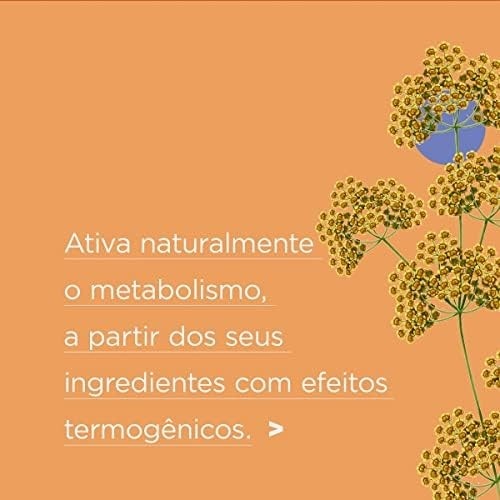 gengibre-erva-boa-iamani-organico-funcho-cha-doce-digestao