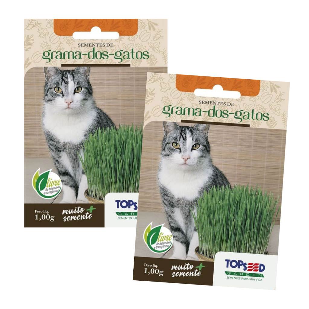 grama-de-gato-topseed-1800-sementes