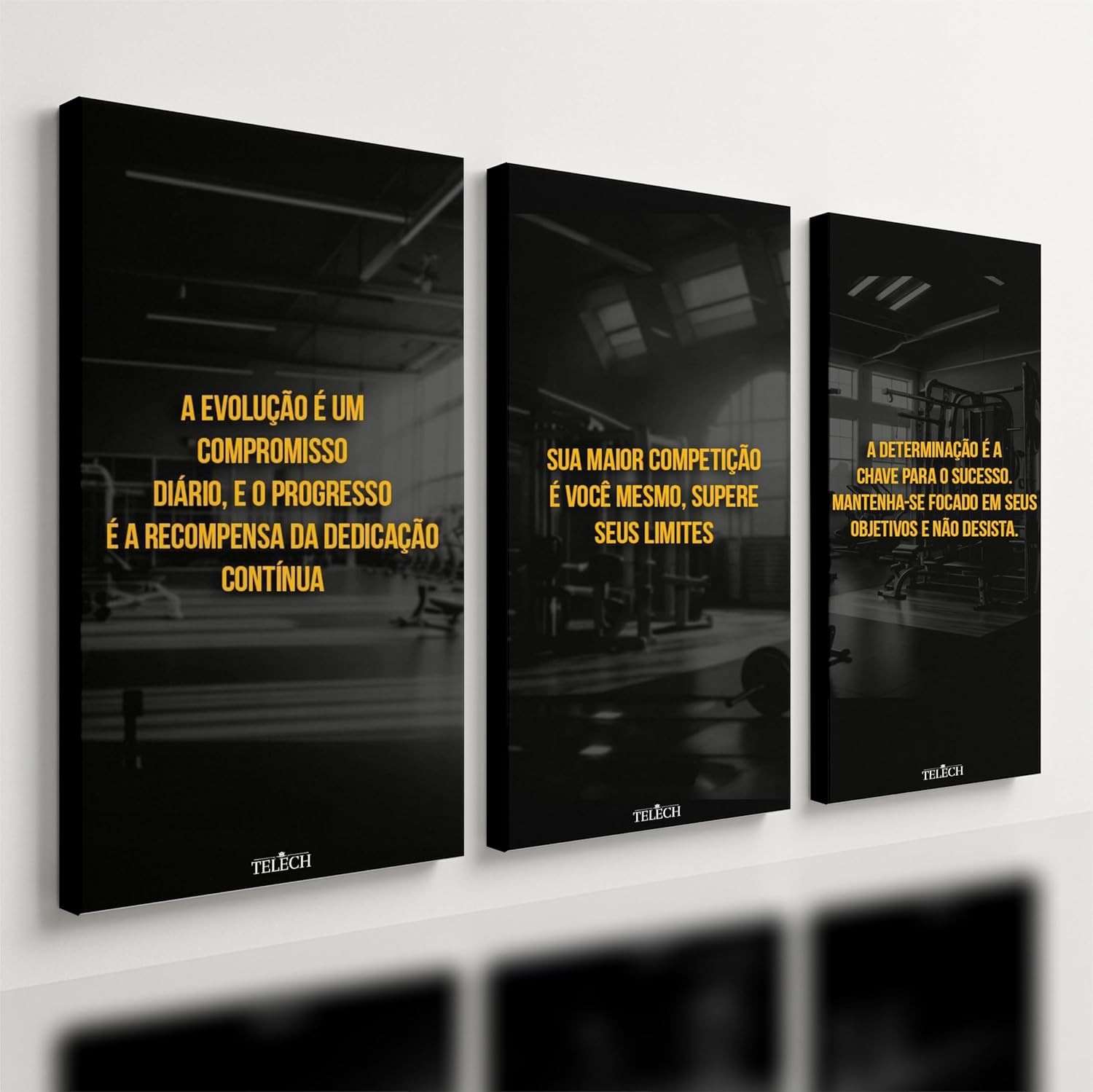 Kit 3 Quadros Decorativos Academia Motivacional para Quarto e Home Gym - Design Inspirador 40x28cm