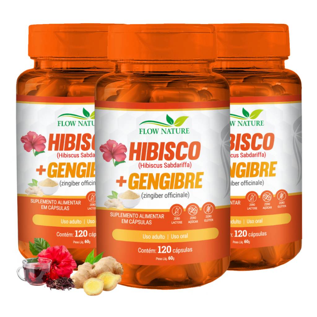hibisco-com-gengibre-120mg-suplemento-natural-para-saude-e-bem-estar