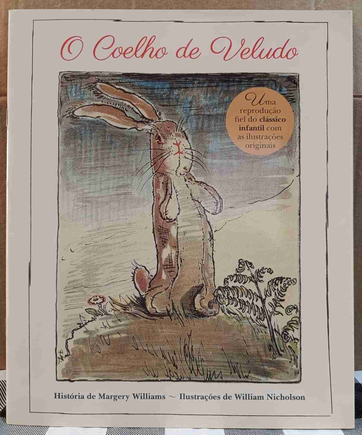 historia-encantadora-o-coelho-amor-a-sobre-uma-veludo-do-o-poder-de-a