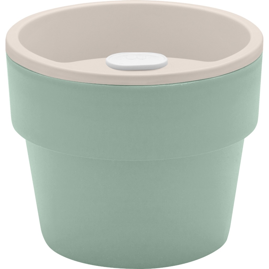 Horta Antidengue: Seu Vaso Autoirrigável P 🌿