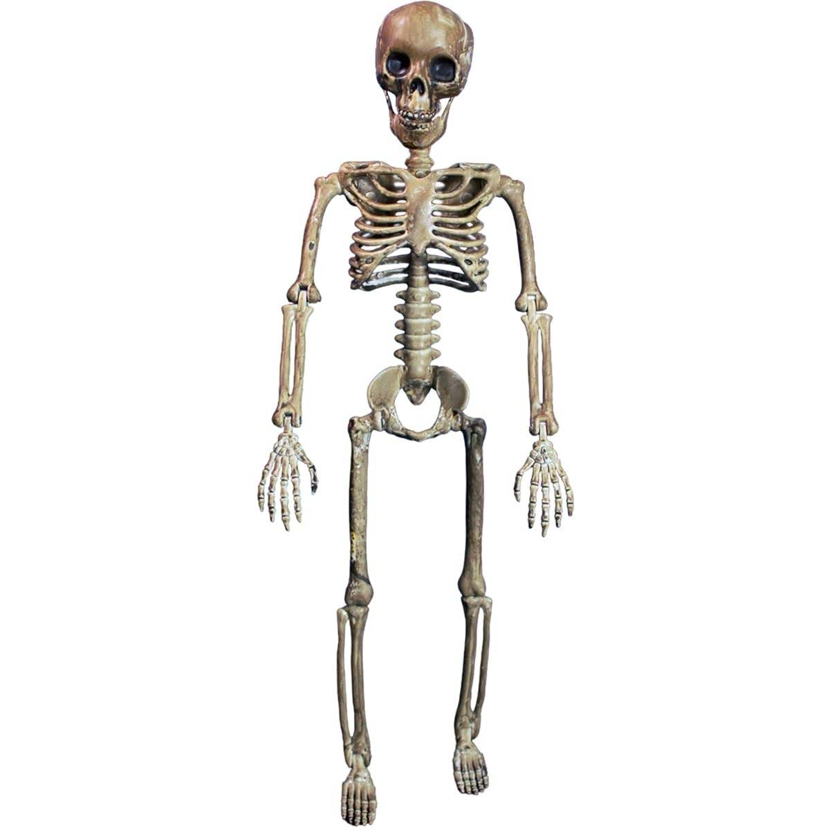 Caveira de Halloween Mini Esqueleto Humano Articulado Ultra Realista 3D - Decoração Assustadora para Casa, Quintal e Jardim