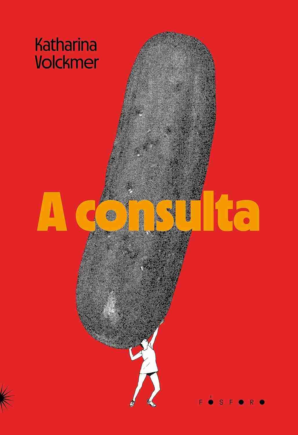 A Consulta: Um Romance Audacioso Sobre Identidade e Reparação Histórica