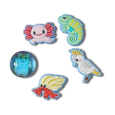 Jibbitz™: Charms para Crocs – Seu Estilo Único!