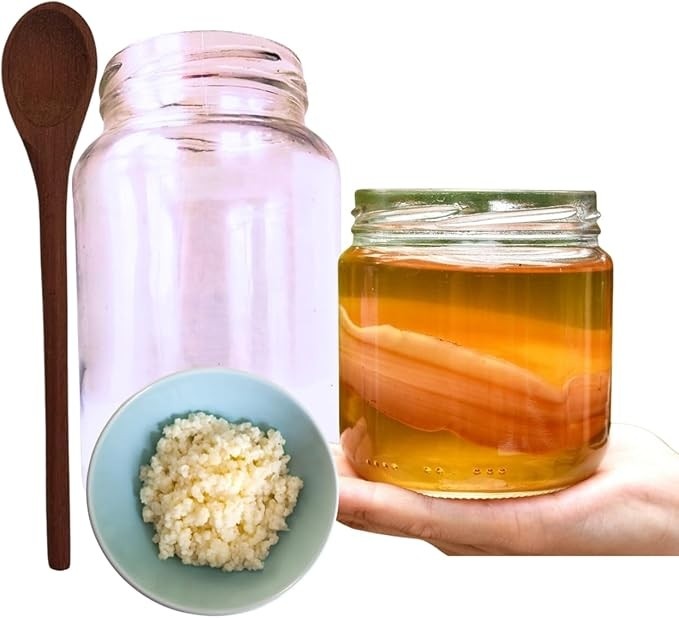 Scoby Kombucha Original Fermentação Caseira + Colher de Pau + Kefir de Leite + Vidro 500ml