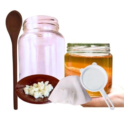 Scoby Kombucha + Colher de Pau + Kefir de Coco Peneira Vidro 500ml e Tampa Voal!
