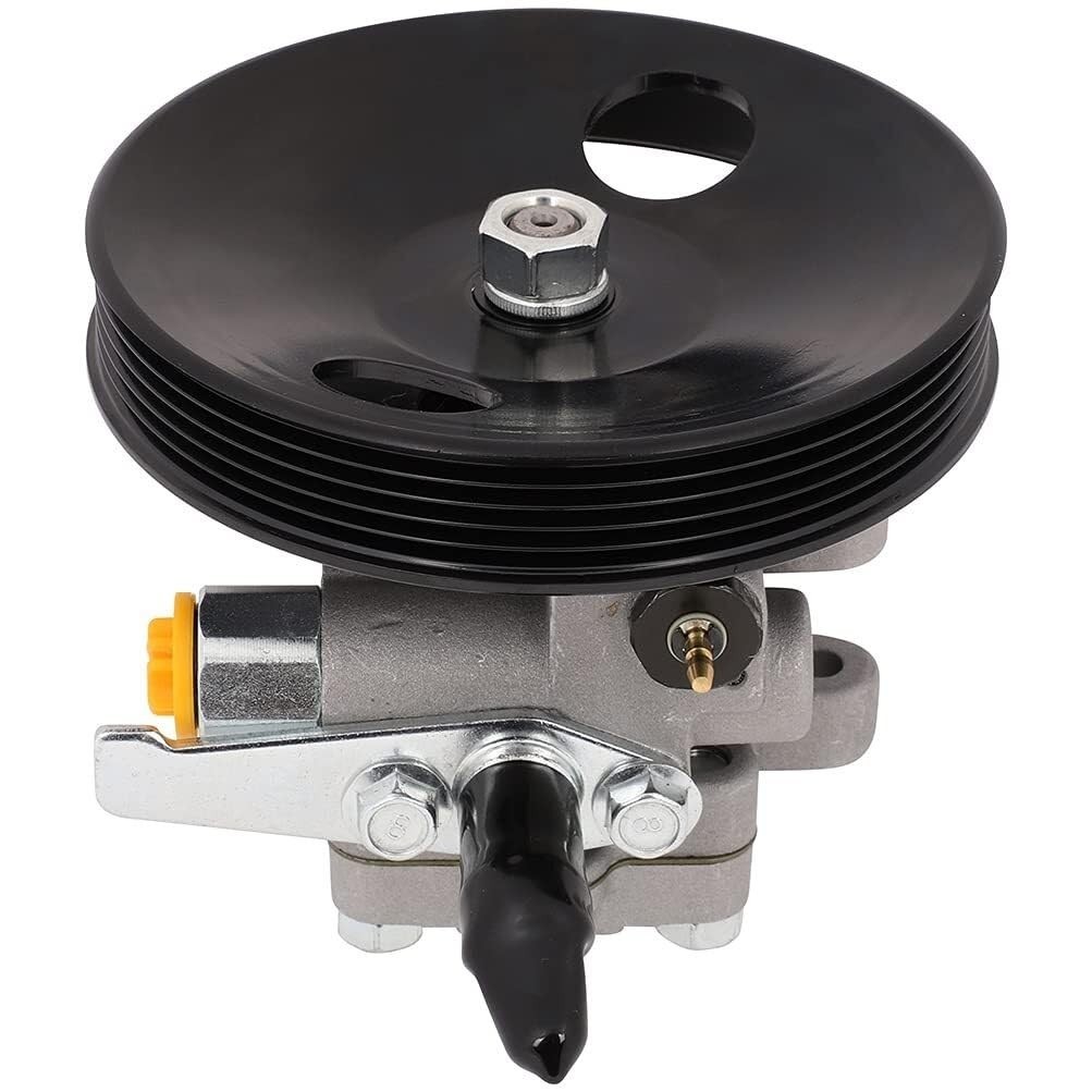 Bomba de Direção Hidráulica Nova para Hyundai Sonata e Kia Optima (2000-2006)