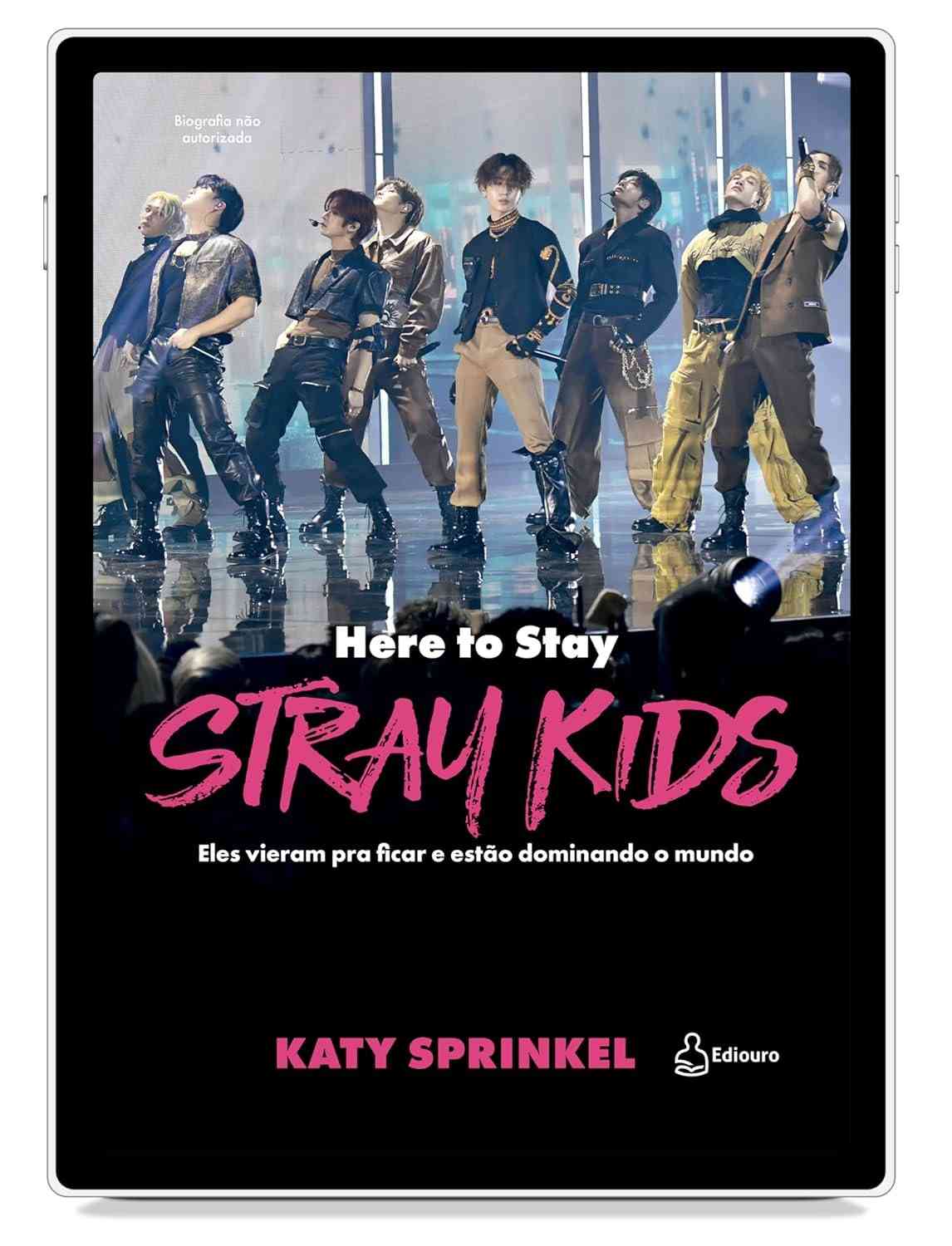 Stray Kids: Here To Stay - O Guia Essencial para Dominar o Mundo do K-Pop