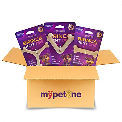 Kit 3 Brinquedos Dent One Filhotes Osso Bamboo – Diversão e Saúde Dental