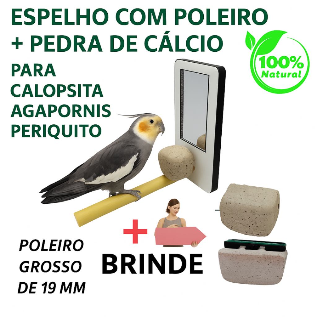 kit-espelho-e-pedra-de-calcio-para-calopsitas-brinquedo-educativo-que-atrai-e-fortalece