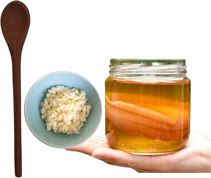 Scoby Kombucha Original Fermentação Caseira + Colher de Pau + Kefir de Leite