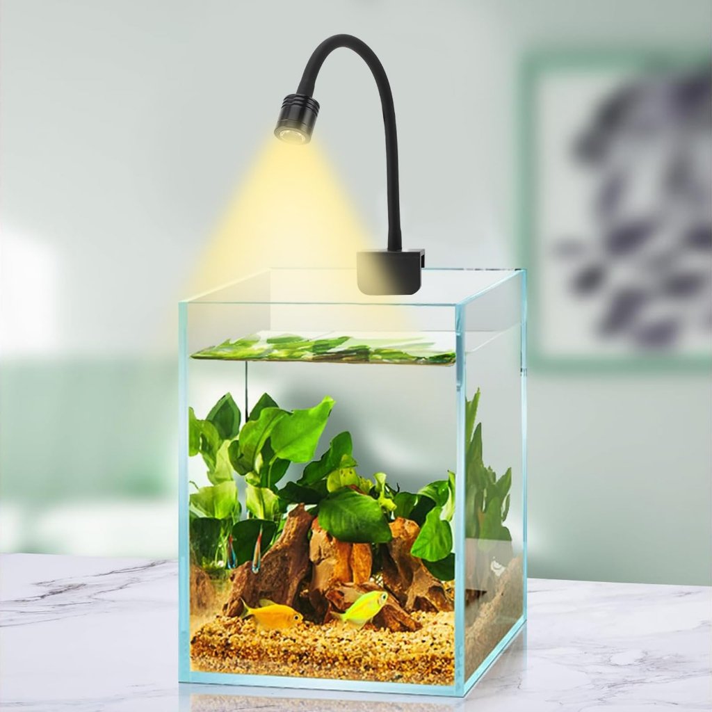 lampada-de-calor-para-repteis-saude-e-conforto