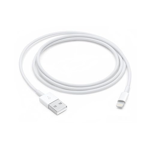 Cabo Apple Lightning para USB (1 m)