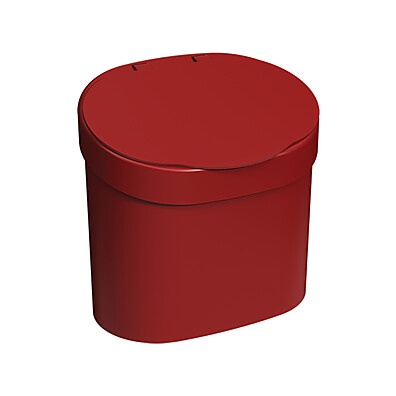 Lixeira Coza Basic 4L: Organize com Estilo!