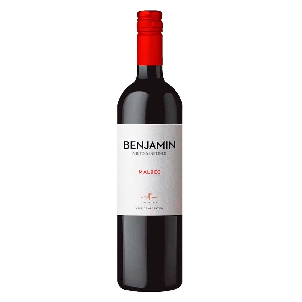 malbec-benjamin-nieto-o-vinho-argentino-perfeito