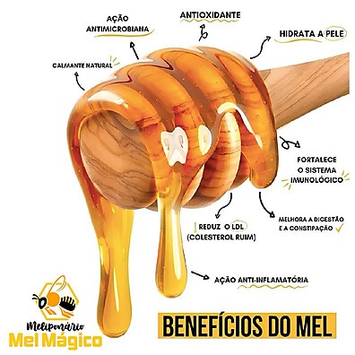 Mel Orgânico Eucalipto: Sabor e Saúde da Mantiqueira