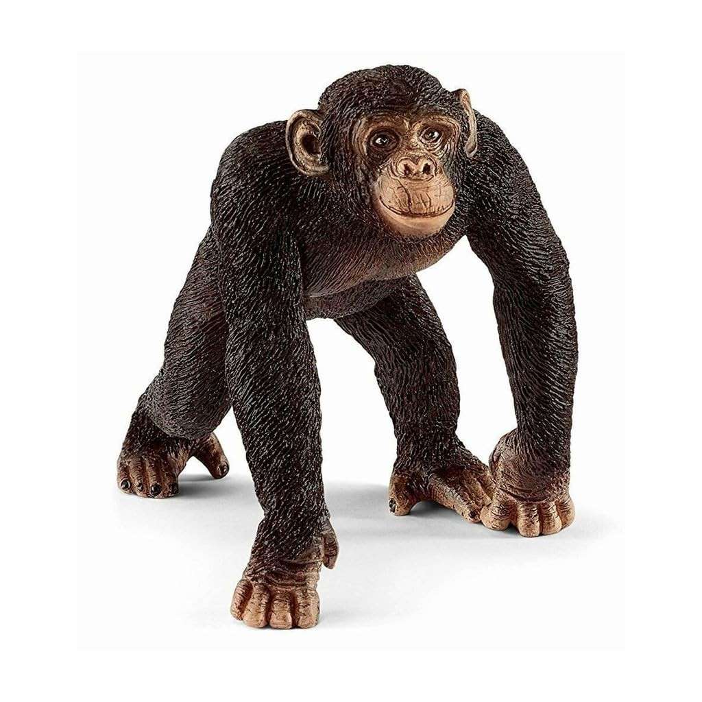 Schleich Estatueta de Chimpanzé Masculino - Detalhes Realistas e Educativos