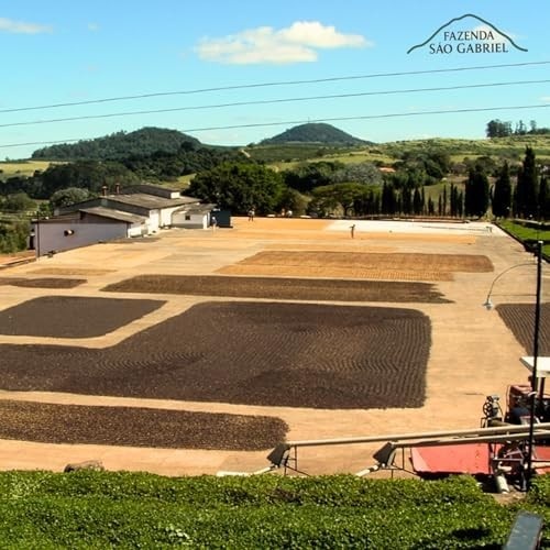 media-premium-arabica-100-sabor-especial-graos-torra-500g-cafe