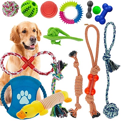 Kit 10 Brinquedos Mordedores para Cães Pequenos e Médios