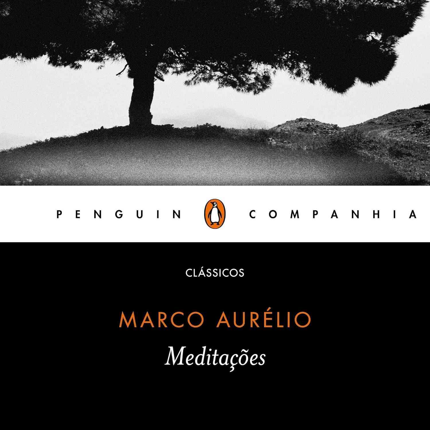 Meditações de Marco Aurélio: Sabedoria Milenar para a Vida Moderna