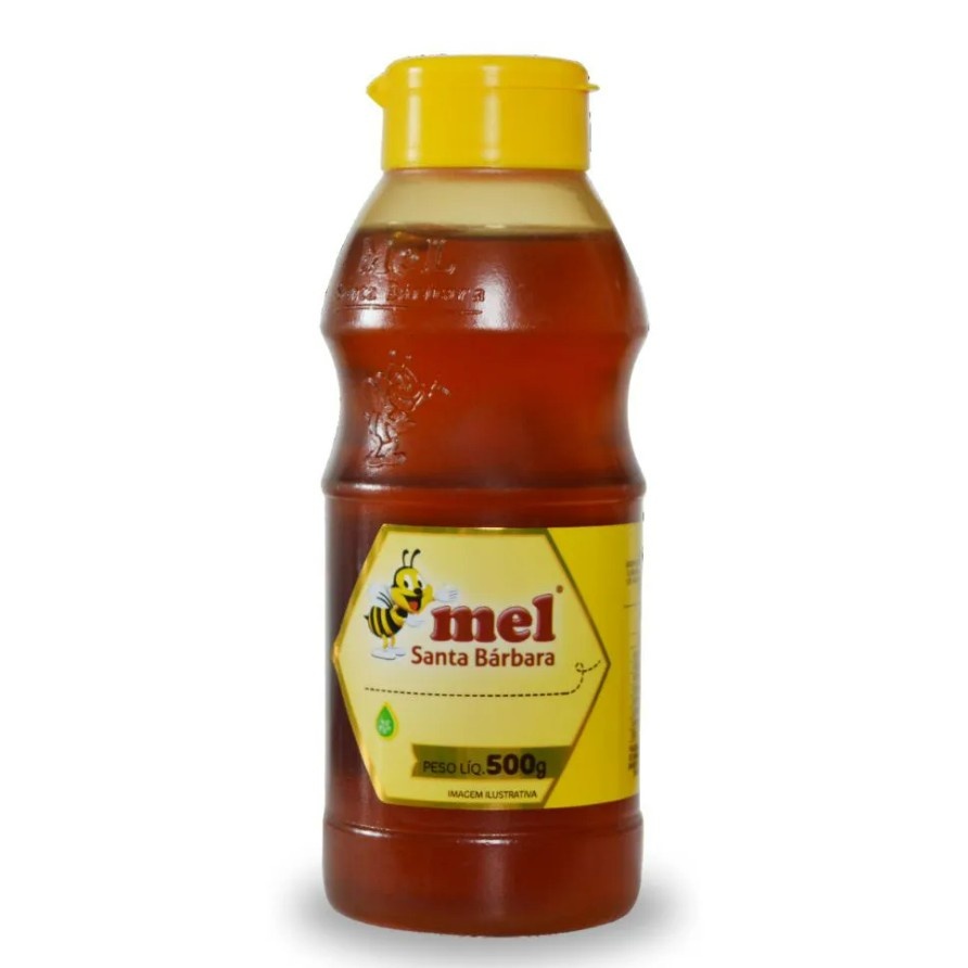 mel-silvestre-puro-500g-sabor-saude