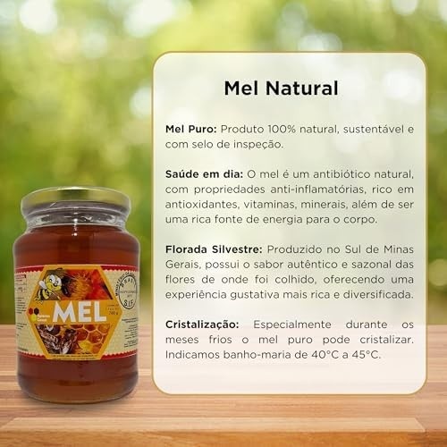 Mel Puro de Abelha - Florada Silvestre Natural Sul de Minas 700g