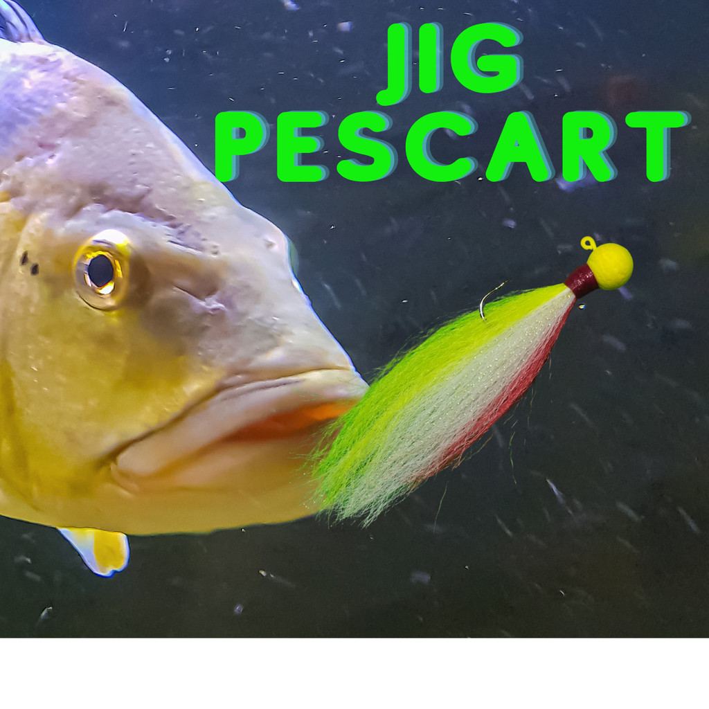 Jig Isca Artificial Pescart: Pesque Mais e Melhor