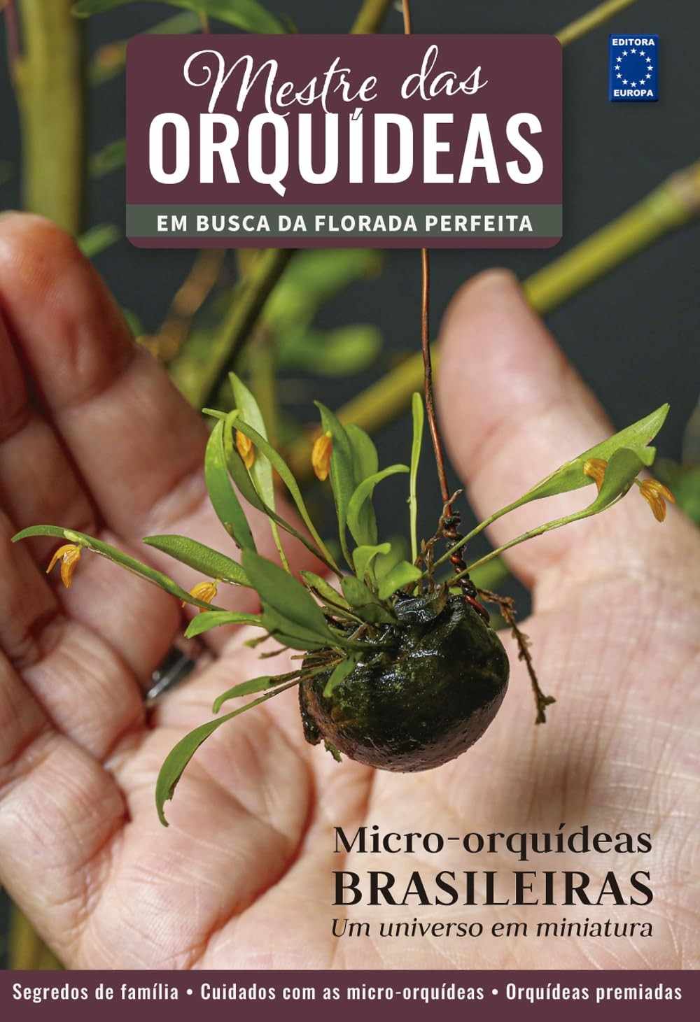 mestre-orquideas-brasileiras-completo-micro-orquideas-de-das-guia-vol-a-17-a