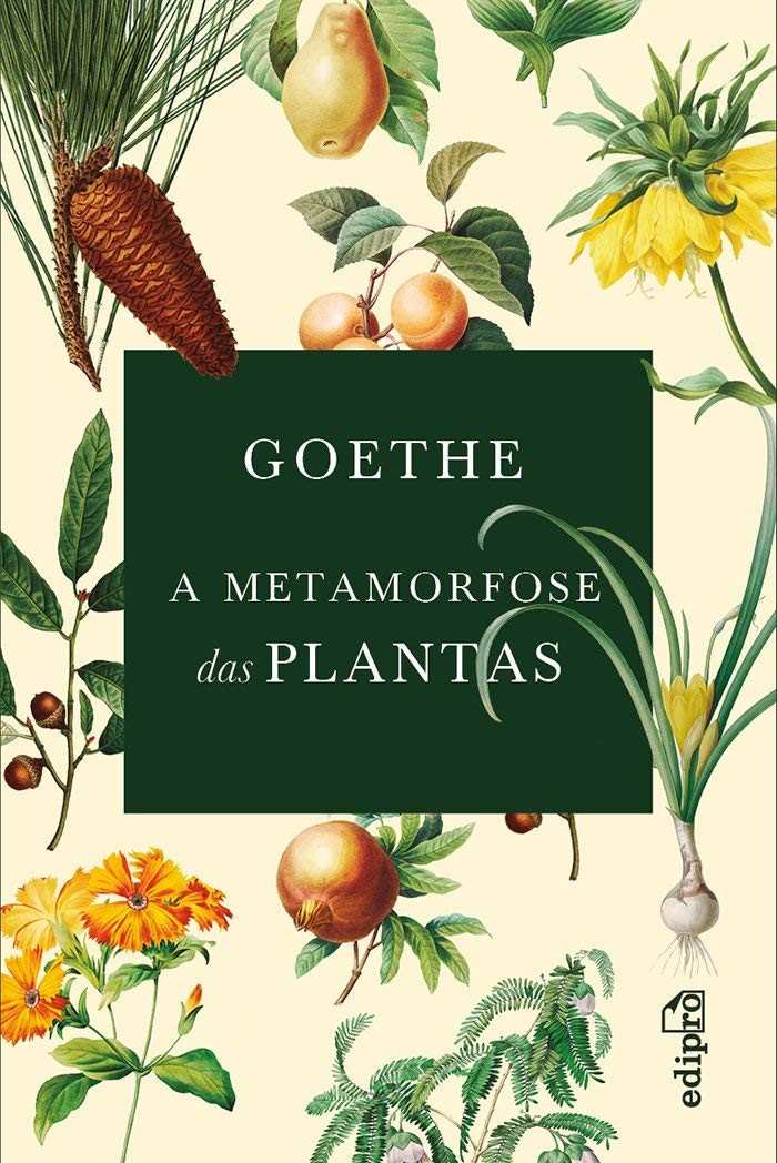 metamorfose-a-a-de-goethe-a-visao-das-cientifica-plantas-a