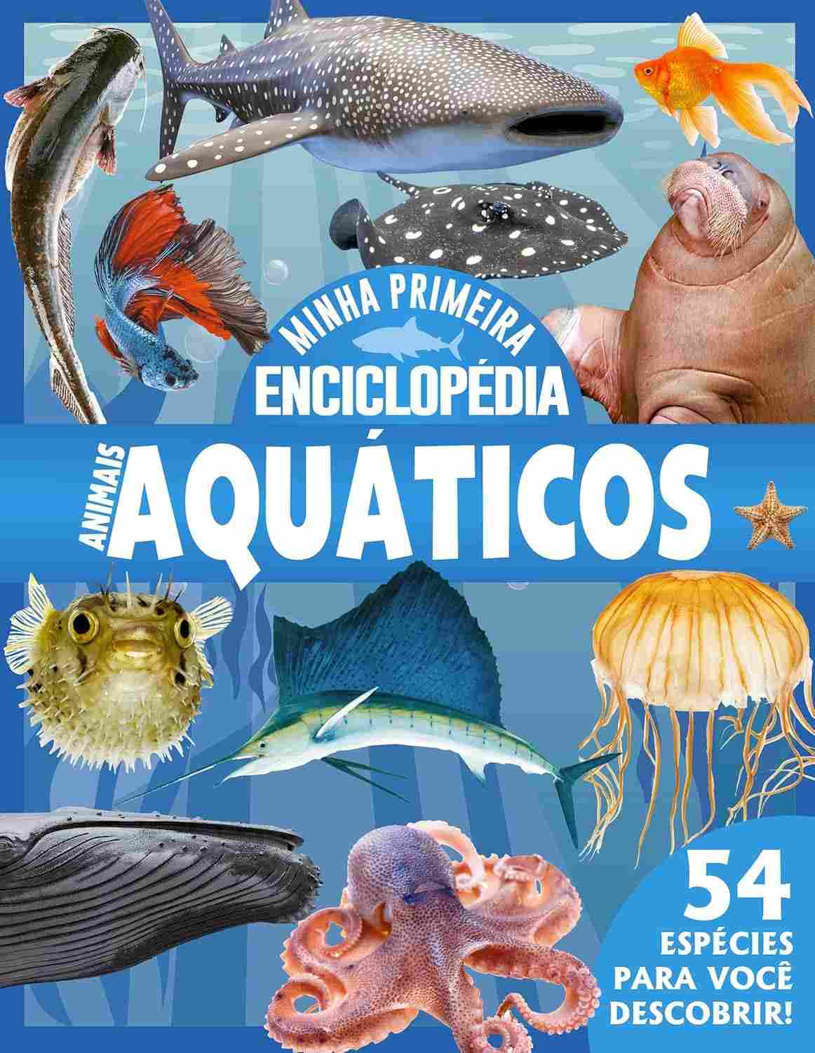 minha-animais-a-enciclopedia-aquaticos-de-primeira-mundo-o-descubra-submarino-a